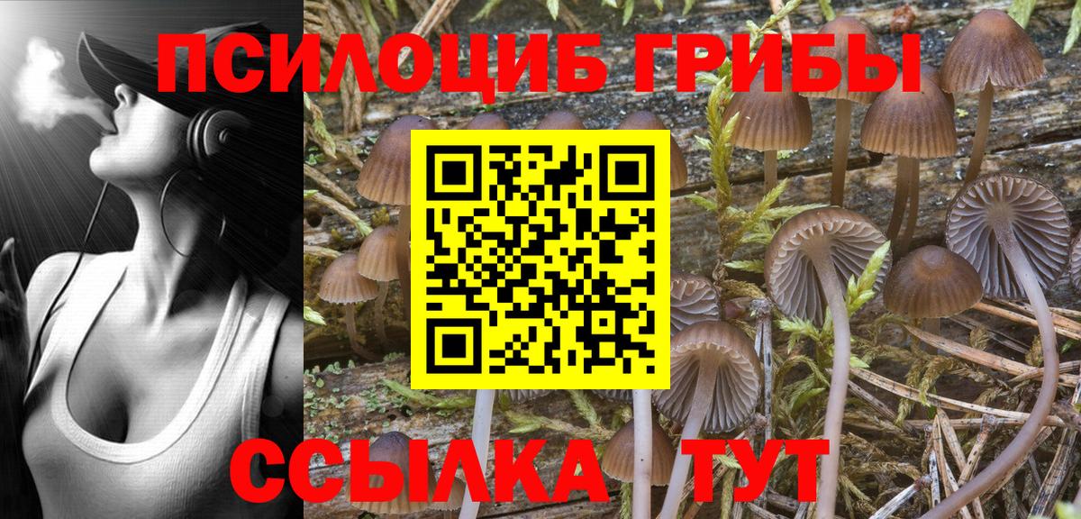 Галлюциногенные грибы Psilocybe Ишимбай