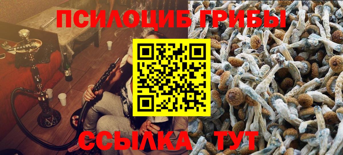 Галлюциногенные грибы GOLDEN TEACHER  Вход с VPN  Галлюциногенные грибы Psilocybine cubensis  Ишимбай 